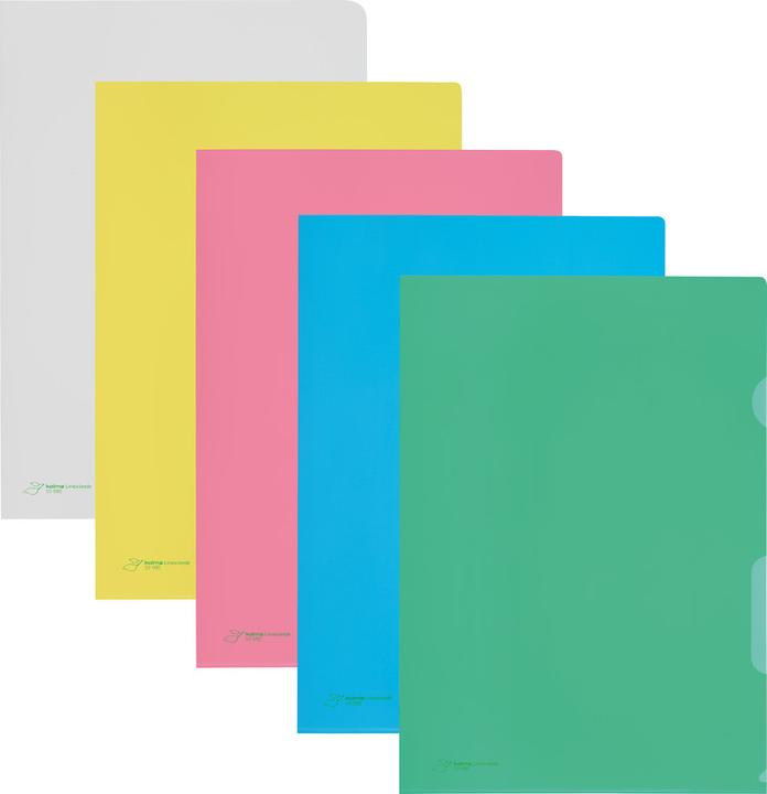 Produktbild Kolma Sichtmappe LineaVerde A4 Recycling genarbt strong rot (A4, 100x)