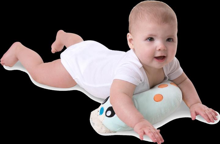 Produktbild Playgro Pinguin
