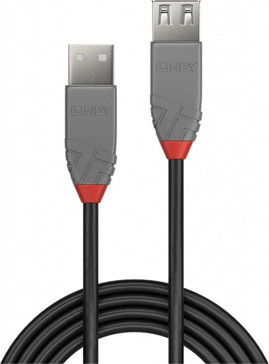Actual product image Lindy USB/A-USB/A M-F (3 m, USB 2.0)