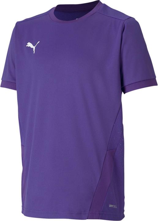 Actual product image Puma teamGOAL 23 Jersey jr-704160 (116)