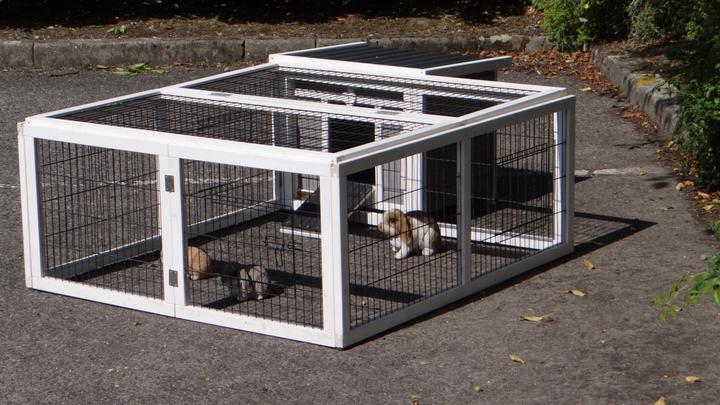 Image du produit Jamb Petit blanc