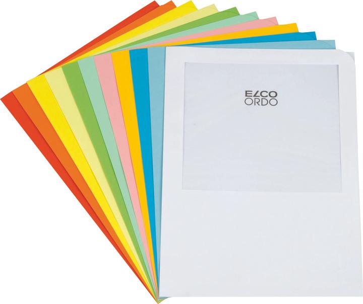 Image du produit Elco Poches de transport Ordo (A4, 100x)