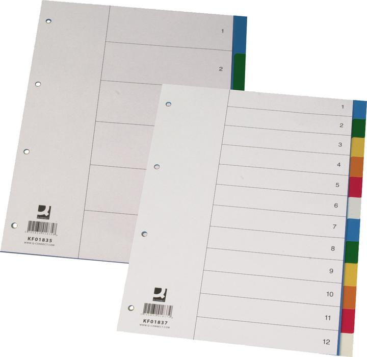 Immagine prodotto Q-Connect Register Vollformat aus PP, farbig