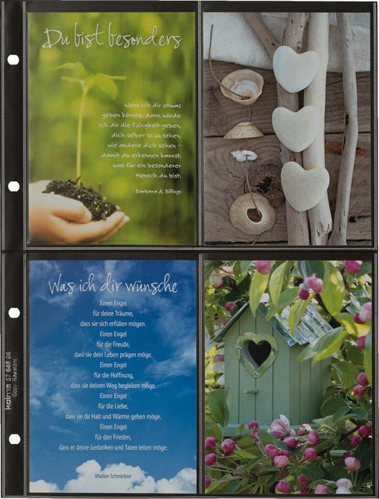 Immagine prodotto Kolma Borse per libri da puntamento CopyResistant Lisse Strong (A4, 10 x)