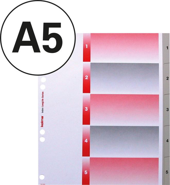 Actual product image Kolma Register LongLife XL full format extra wide grey, with index sheet