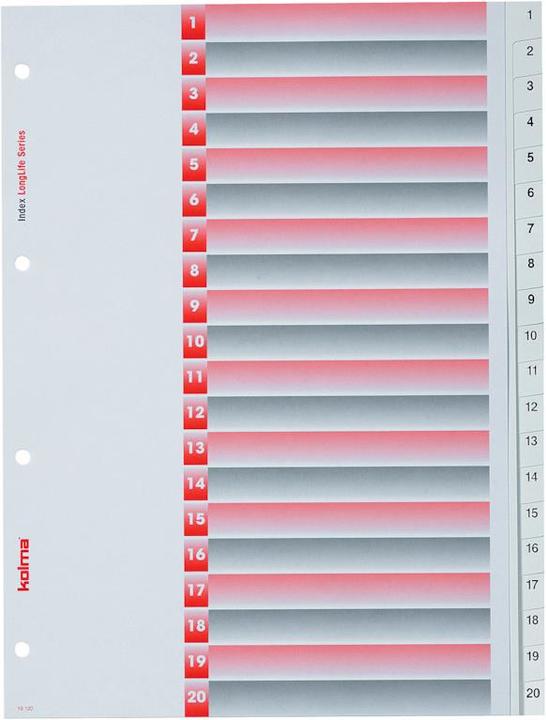 Immagine prodotto Kolma Indice LongLife formato completo bianco, con foglio di indice