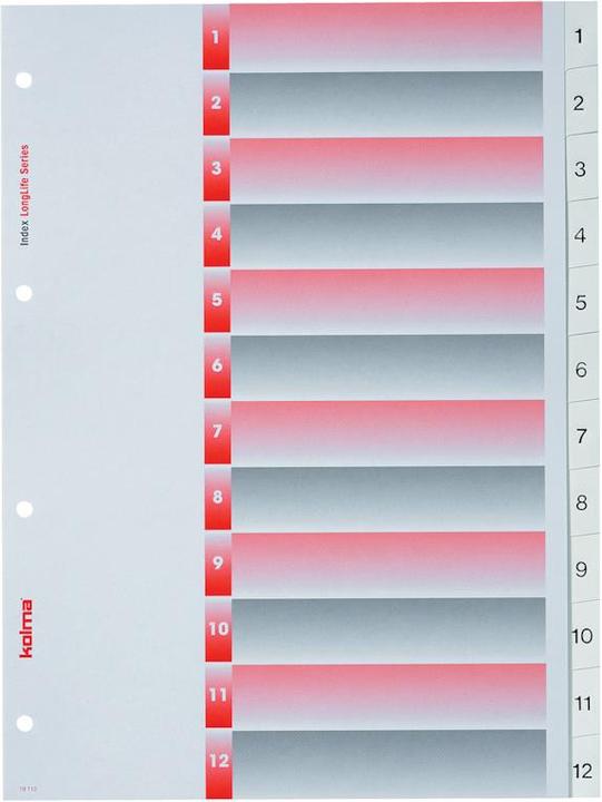 Actual product image Kolma Register LongLife full size white, with index sheet