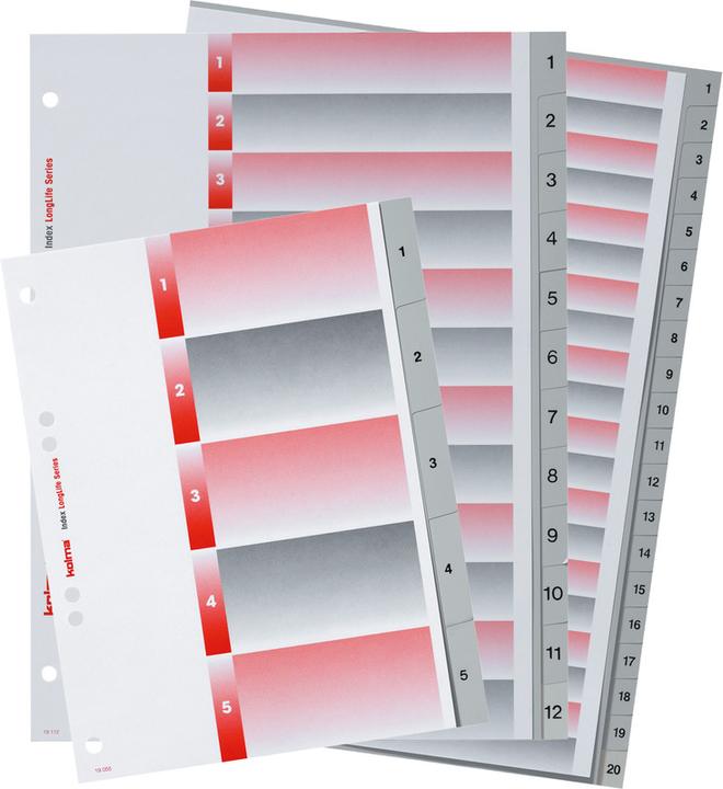 Produktbild Kolma Register LongLife Vollformat grau, mit Indexblatt