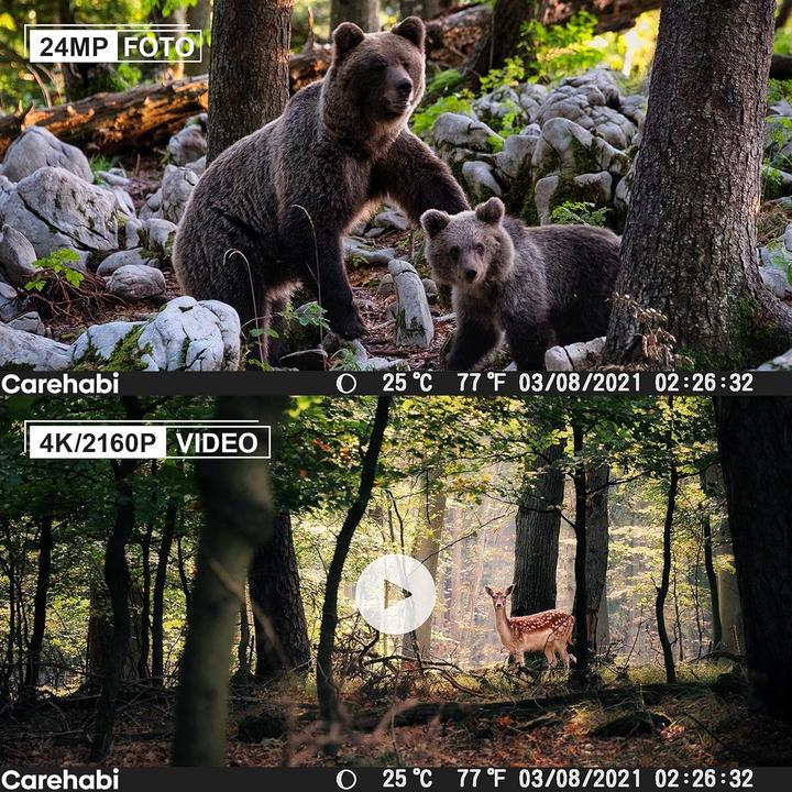 Actual product image Carehabi Wildkamera mit 4K Nachtsicht und IP67 Schutz