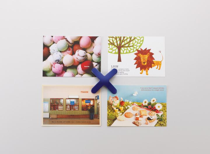 Produktbild Lion Magnet Pekepita X-Form (1x)