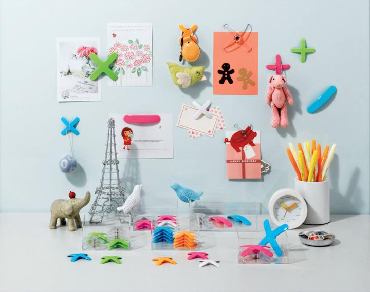 Produktbild Lion Magnet Pekepita X-Form (1x)