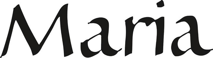 Image du produit Rotring Calligraphie ArtPen (Noir)