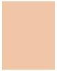 Actual product image Shiseido Synchro Skin Radiant Lifting (150 Lace)