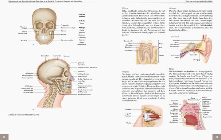 Produktbild Die Anatomie der Sportverletzungen (Deutsch, Brad Walker, 2018)