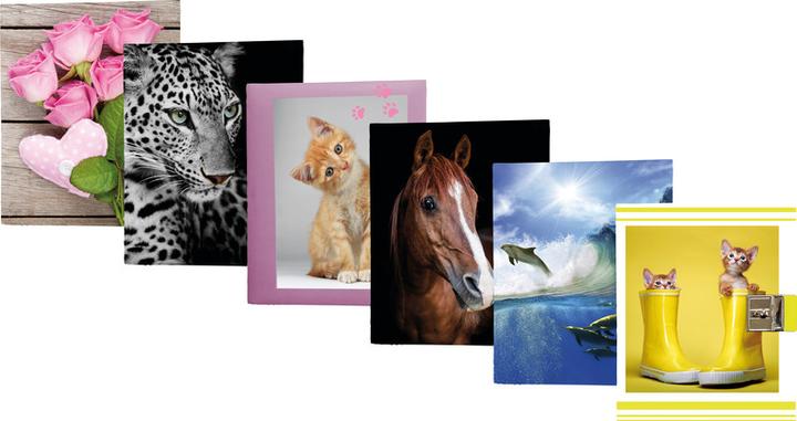 Image du produit Eibert Visual Leopard