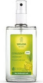 Actual product image Weleda Citrus refill bottle (Spray, 200 ml)