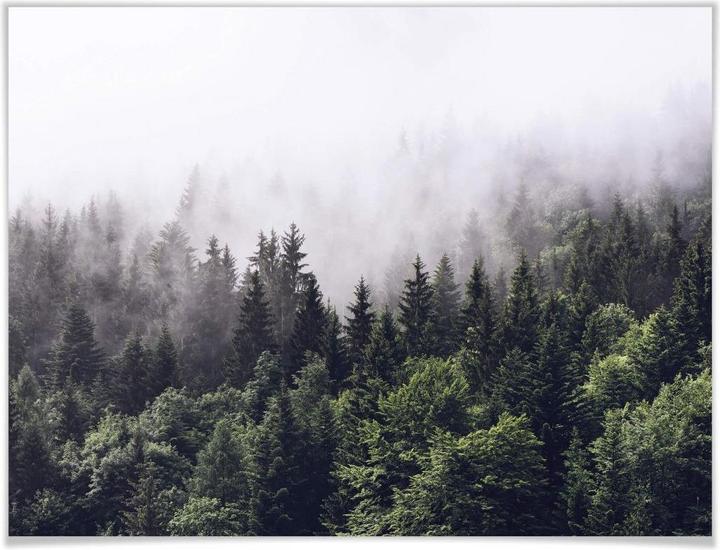 Produktbild Trenddeko Nebliger Wald (40 x 30 cm)