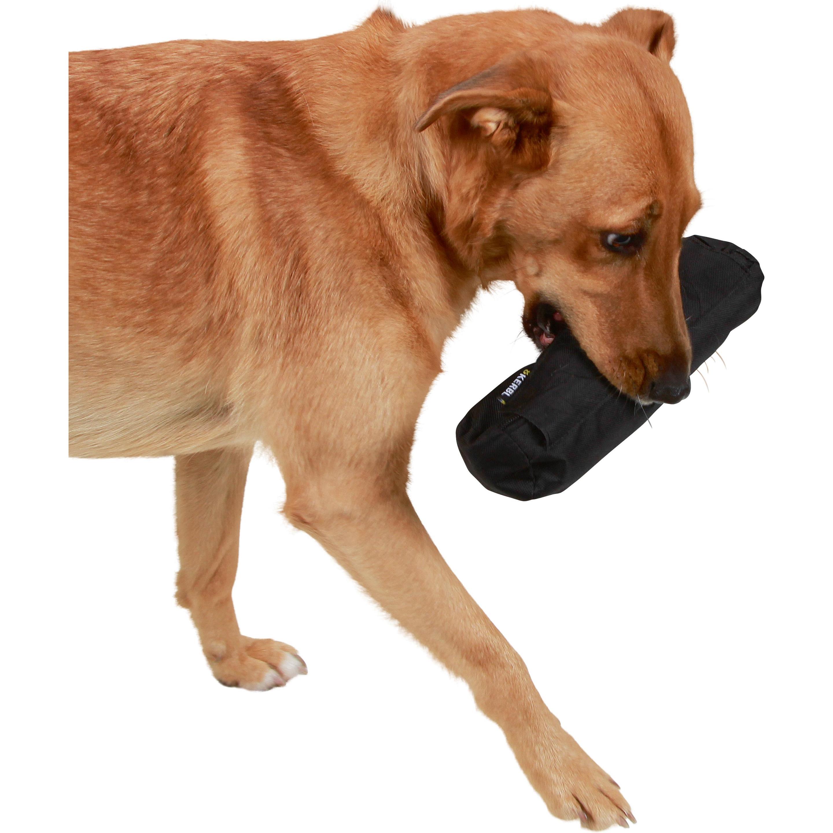 Thumbnail - Kerbl Snack Dummy (Apportieren), Hundespielzeug