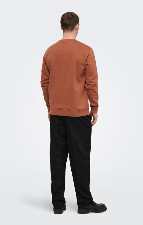 Produktbild Only & Sons Onsconnor Life Reg Crew Neck Sweat Noos (M)