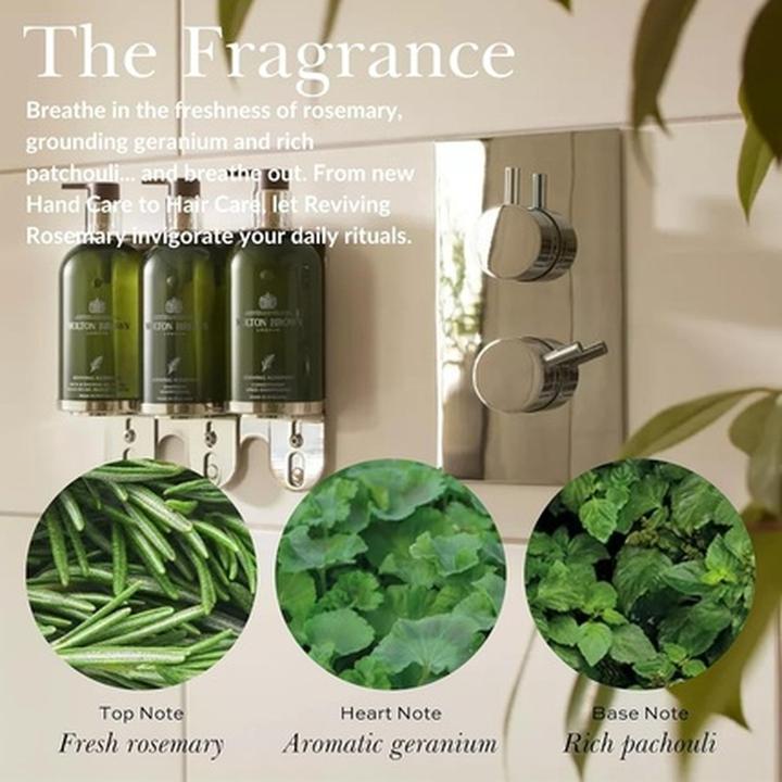 Produktbild Molton Brown Reviving Rosemary Perfume Oil Roll-On (Eau de Parfum, 10 ml)