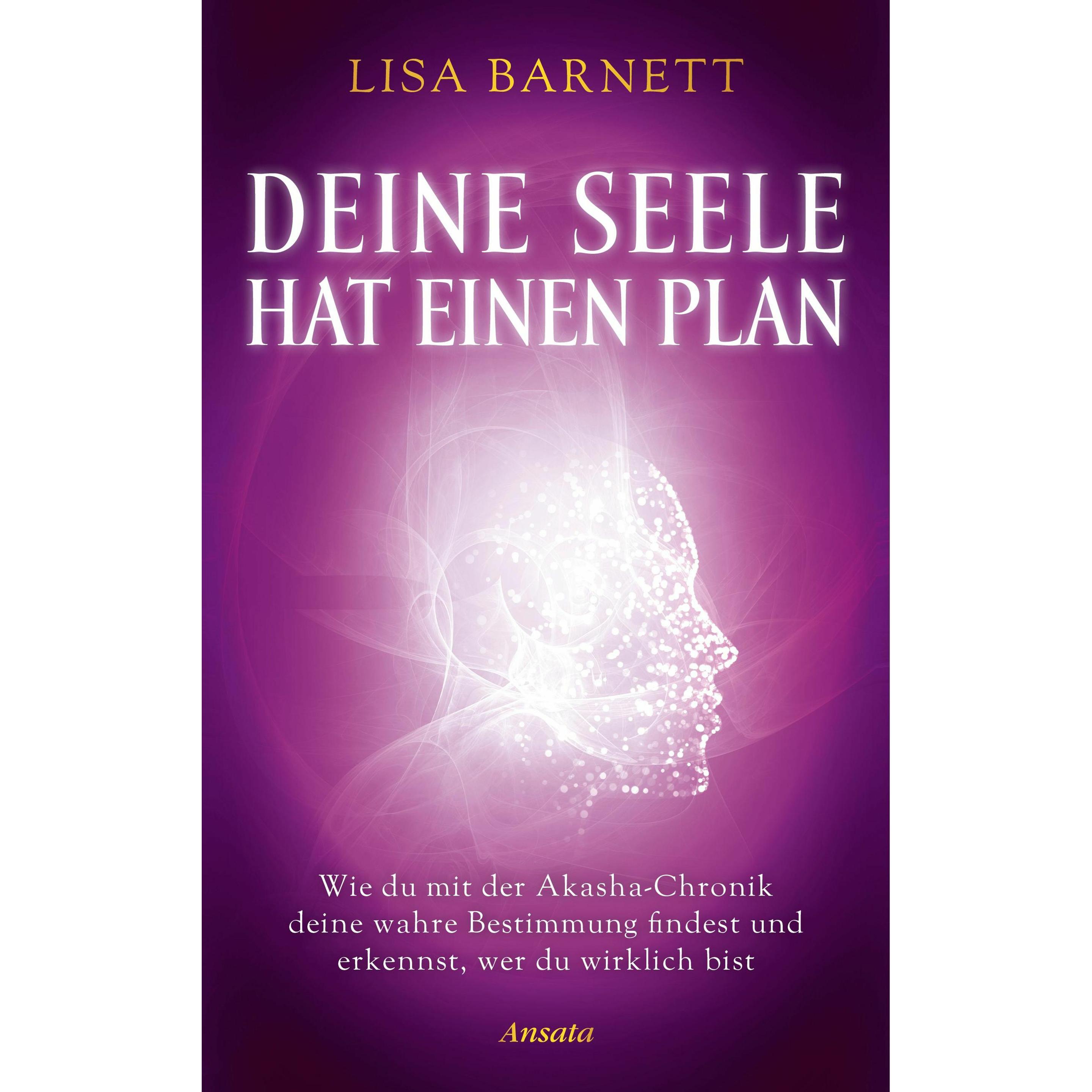 Deine Seele hat einen Plan, Ratgeber von Lisa Barnett
