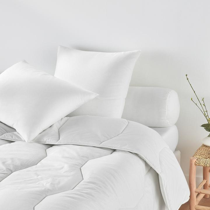 Actual product image La Redoute Interieurs Oreiller (40 x 60 cm)