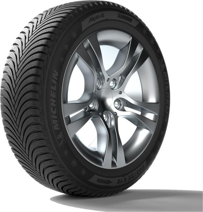 Michelin Piloot Alpine 5 (225/45R18 95V)