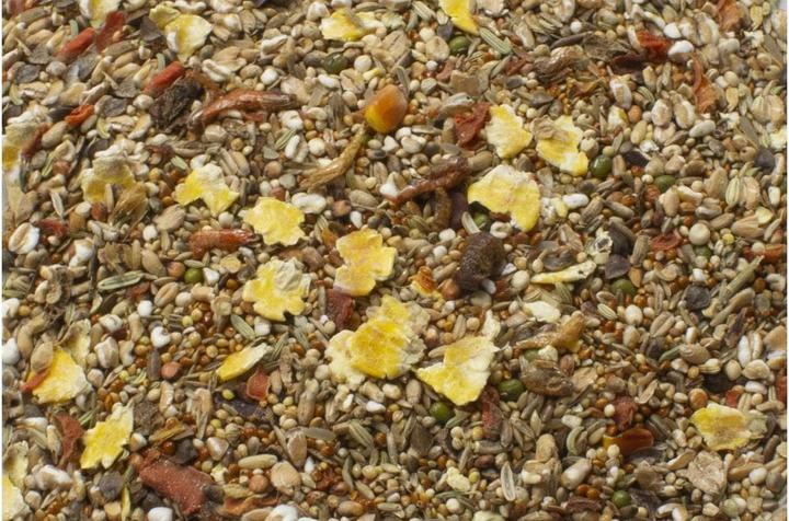 Image du produit JR Farm Aliment complet Basic Souris, 600 g (0.60 kg, 1 x)