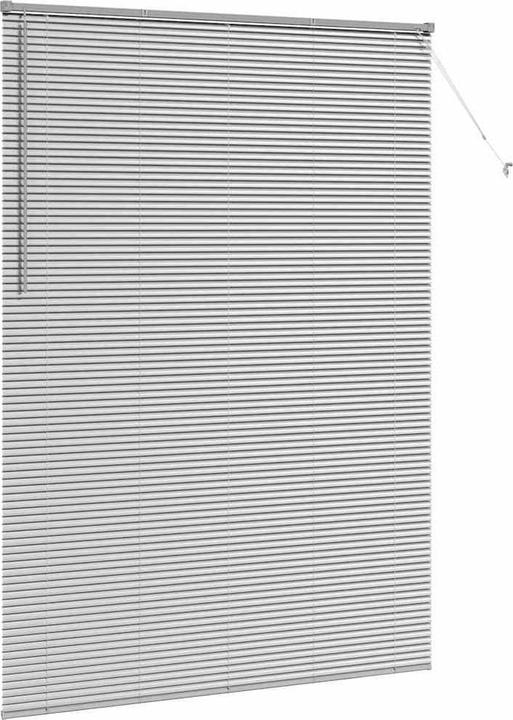 Produktbild vidaXL Balkenjalousien (160 x 220 cm)