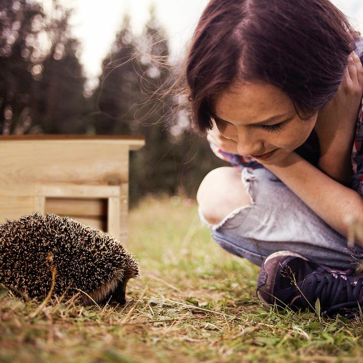 Produktbild Relaxdays Igelhaus