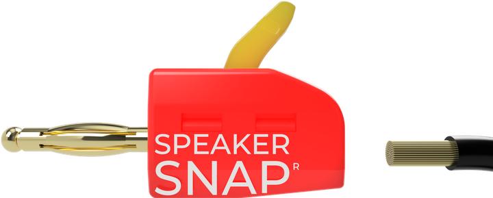 Speaker Snap SSBP2