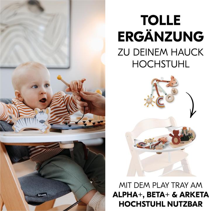 Image du produit Hauck Play Catching S