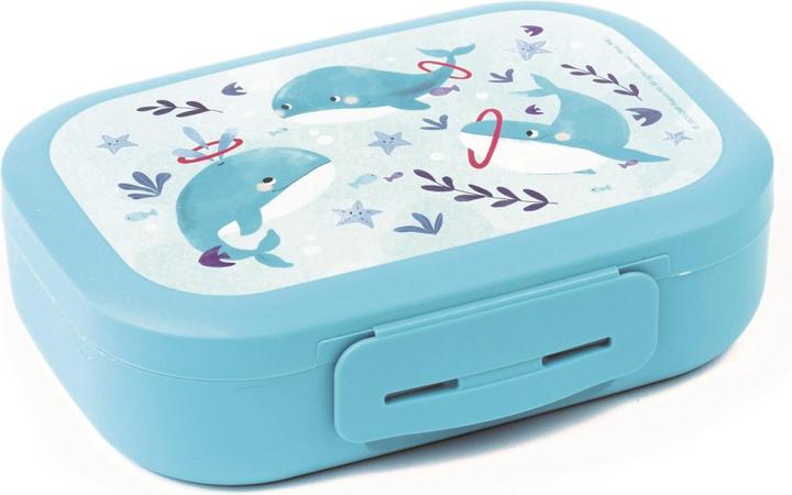 Actual product image Amuse Lunchbox Sealife