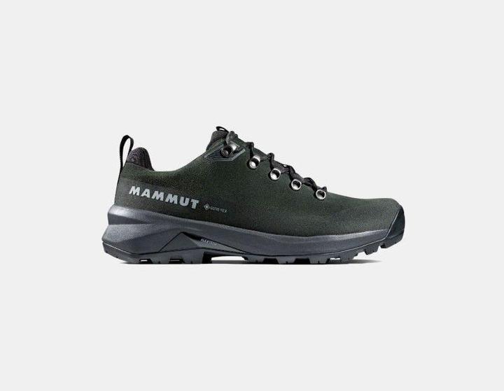 Produktbild Mammut Ducan III Low LTH GTX Men (44)