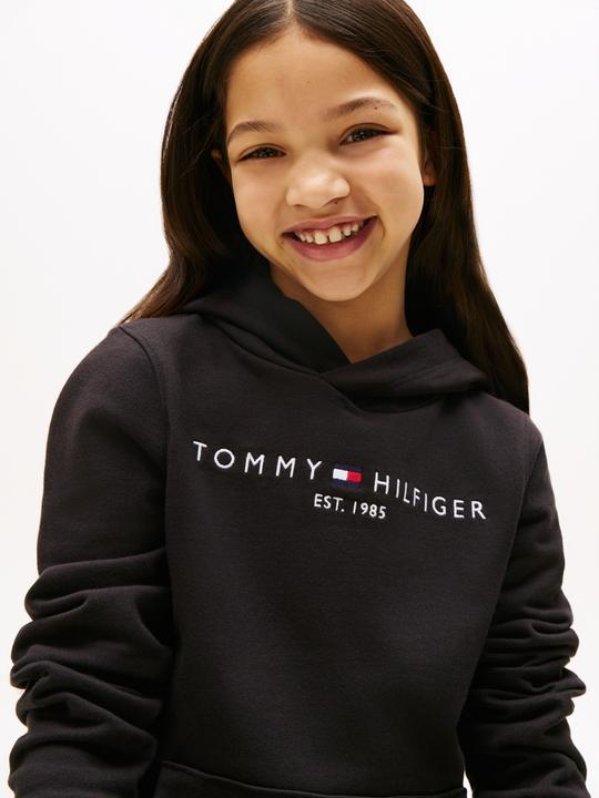 Actual product image Tommy Hilfiger Essential Hoodie (116)