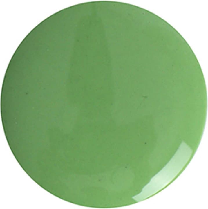 Produktbild Vargu Cactus (Cactus 04, Farblack)