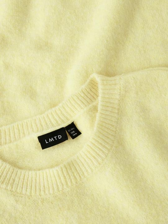 Produktbild Lmtd Regular Fit Strickpullover (158, 164)