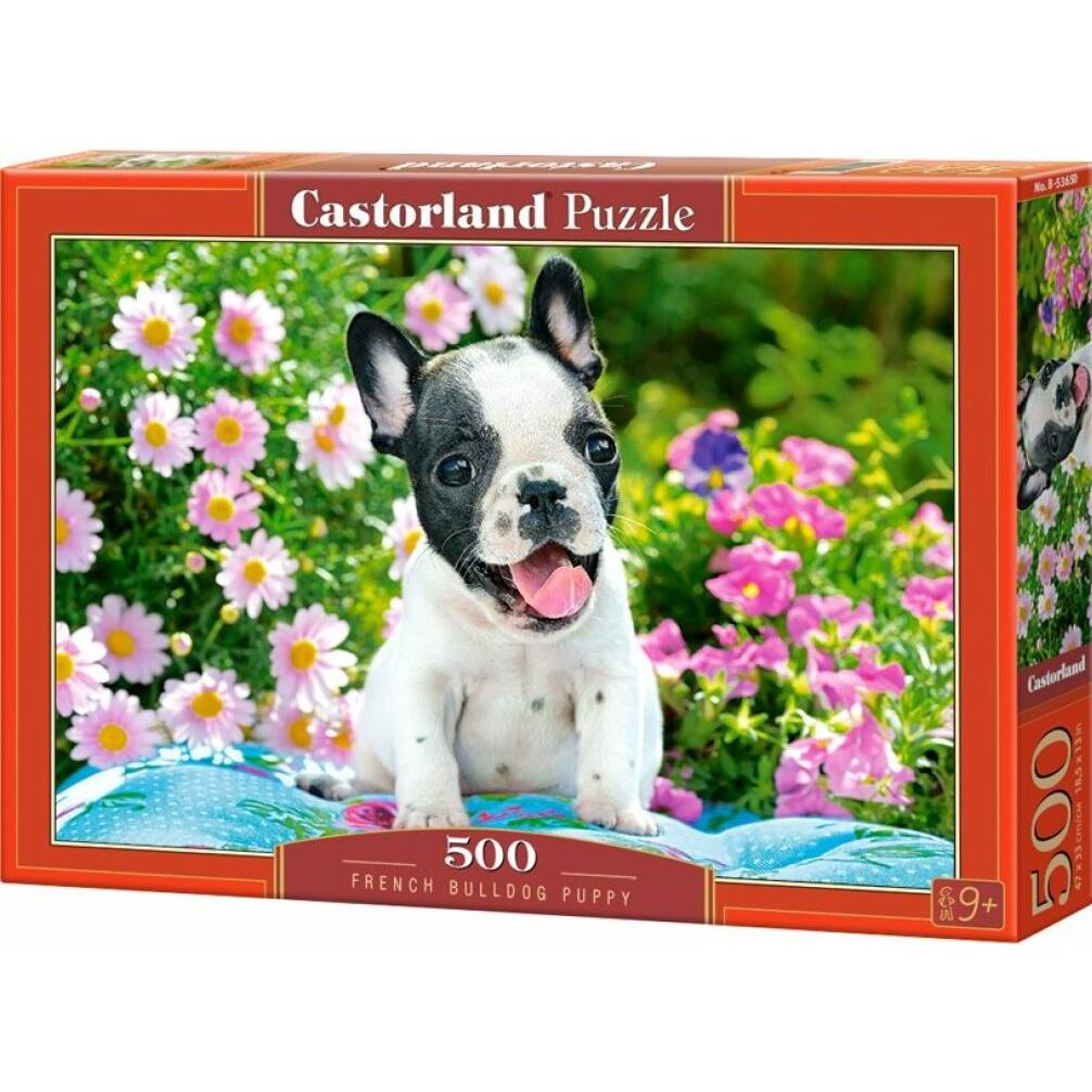 Castorland French Bulldog Puppy Puzzle 500 Teile (500 Teile)