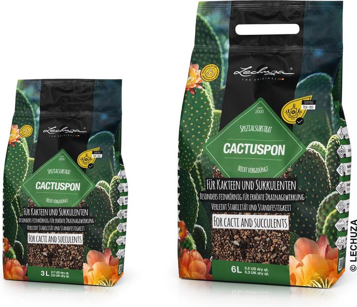 Produktbild Lechuza Cactuspon. (19545)