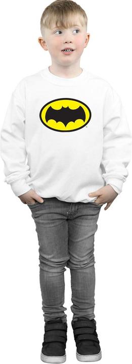 Produktbild Batman TV Series Logo Sweatshirt Jungen (152, 158)