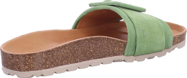 Image du produit Verbenas REIKO 3304020 Kelp (40)