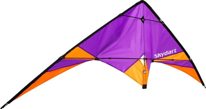 Actual product image Wolkenstürmer Skydart