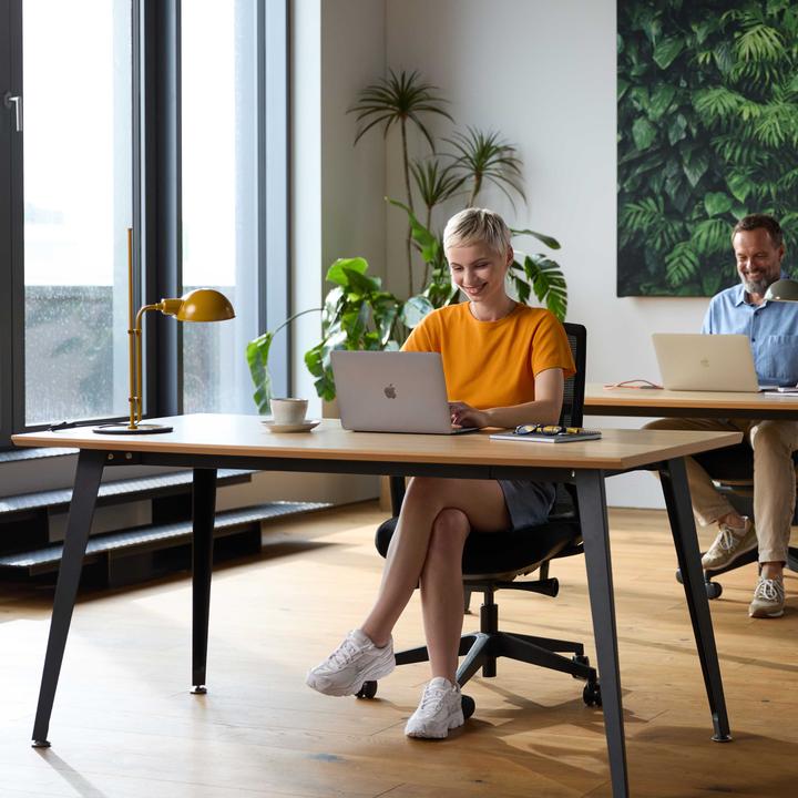 Image du produit ofinto Classic (160 x 80 x 75 cm)