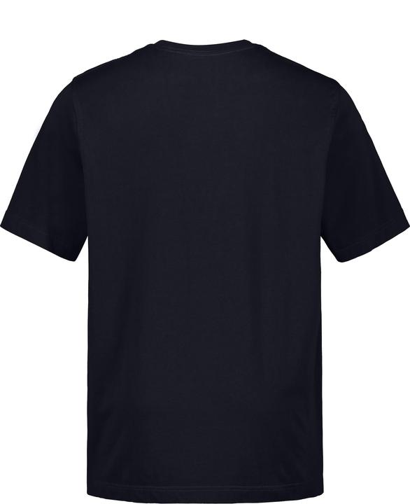 Actual product image JP1880 T-Shirt, Basic, Round neck, combed cotton, up to 8XL (4XL)