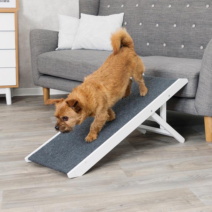 Produktbild Trixie Klapp-Rampe (Hund, Faltbar)