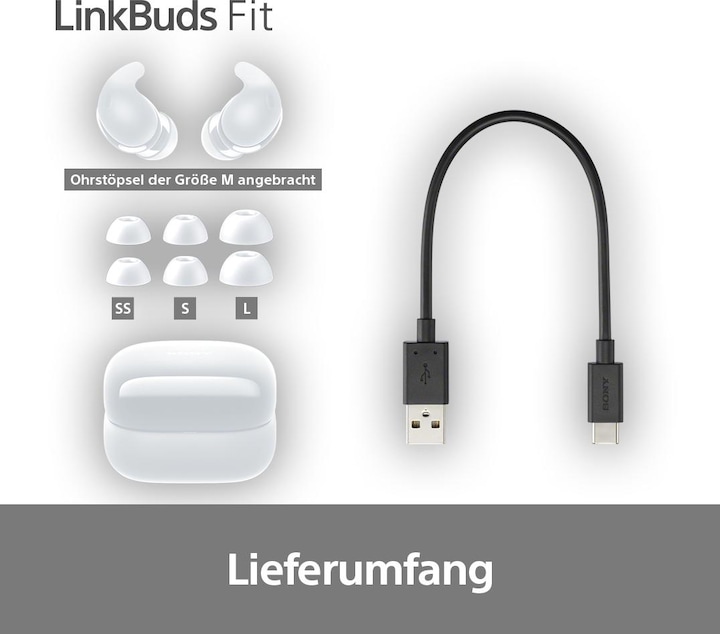 Immagine prodotto Sony WF-LS910N (NC, 5.50 h, Senza fili)