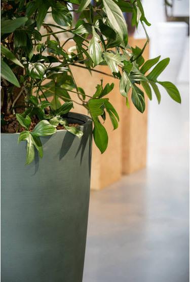 Produktbild Pottery Pots Dax L (37 x 80 cm)