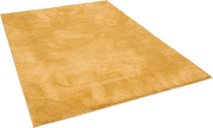 Produktbild Pergamon Super Soft Kinder Hochflor Teppich Silky Kids (120 x 170 cm)
