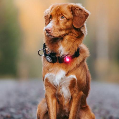 Image du produit Orbiloc Feu de sécurité double pour chien (Taille unique, Chien, Sport canin)