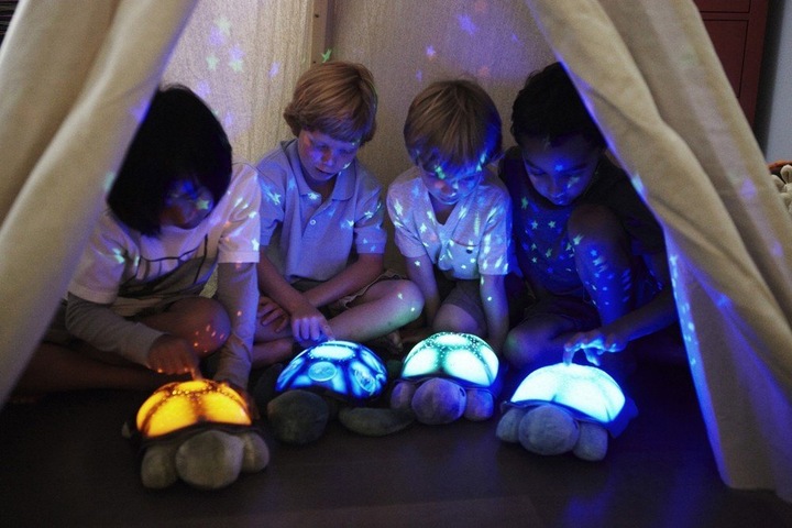 Produktbild Cloud B Twilight Turtle